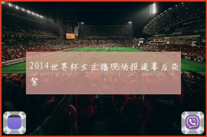 2014世界杯女主播现场报道幕后花絮