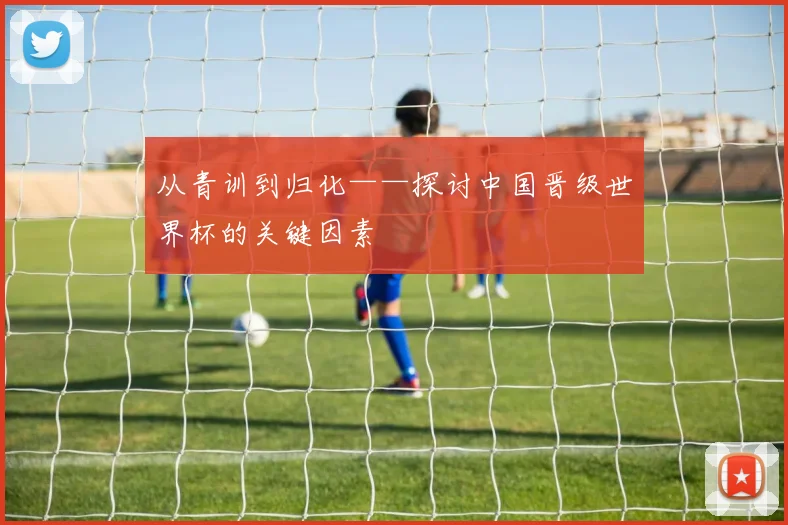 从青训到归化——探讨中国晋级世界杯的关键因素