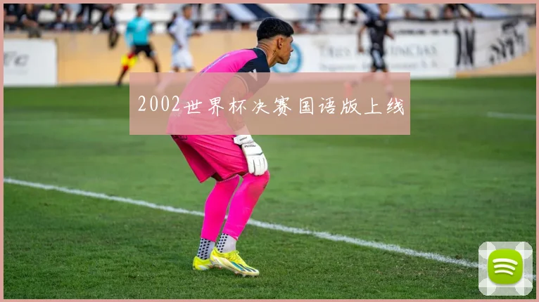 2002世界杯决赛国语版上线